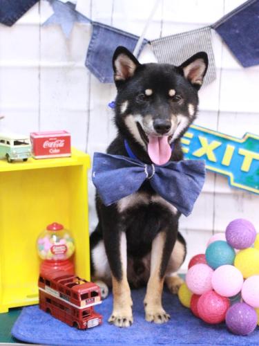 20230421マロくん